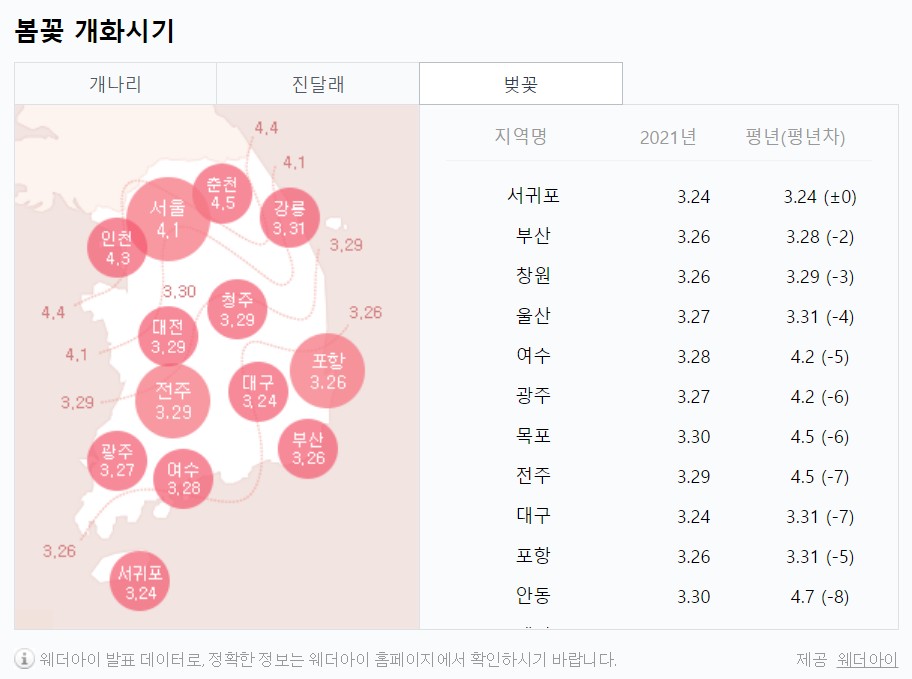2021벚꽃개화시기3