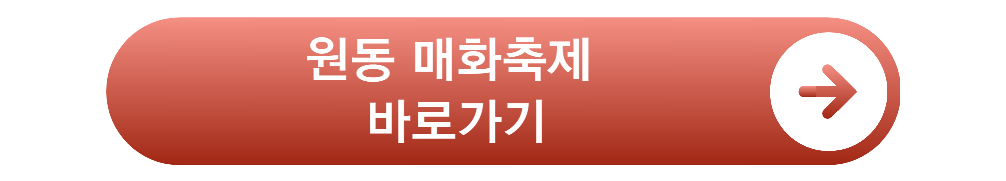 매화축제