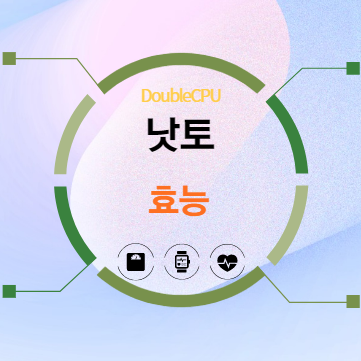 낫토 효능 탐구