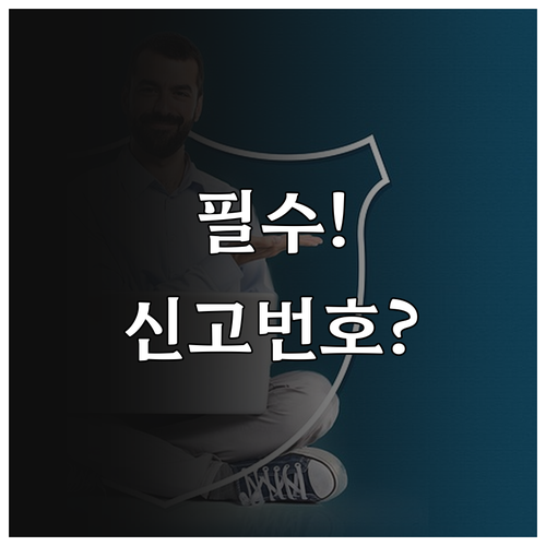 금융감독원 경찰청 신고 번호 보이스피..
