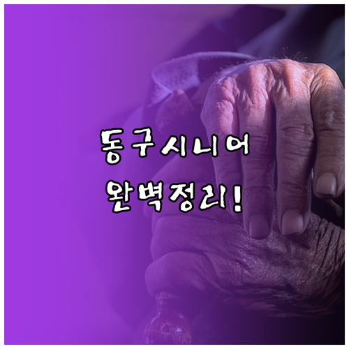 부산 동구 시니어클럽 사업 유형별 활..