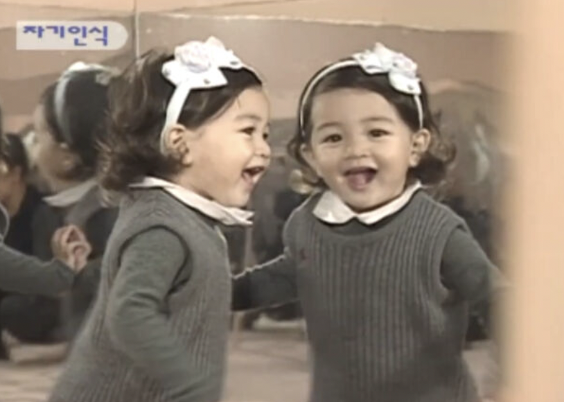 지효