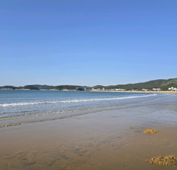 태안 지진 위치 지도