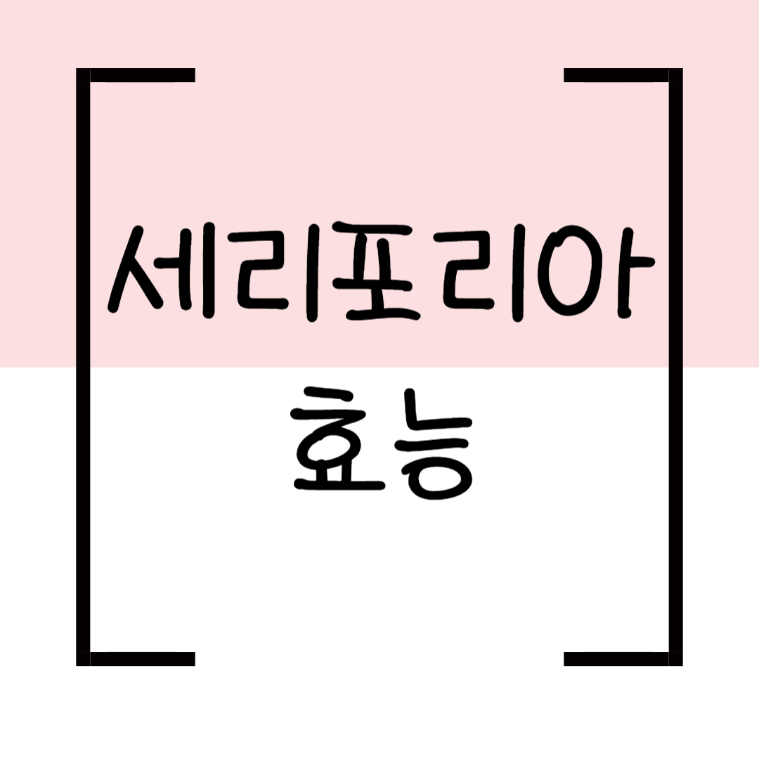 세리포리아 효능