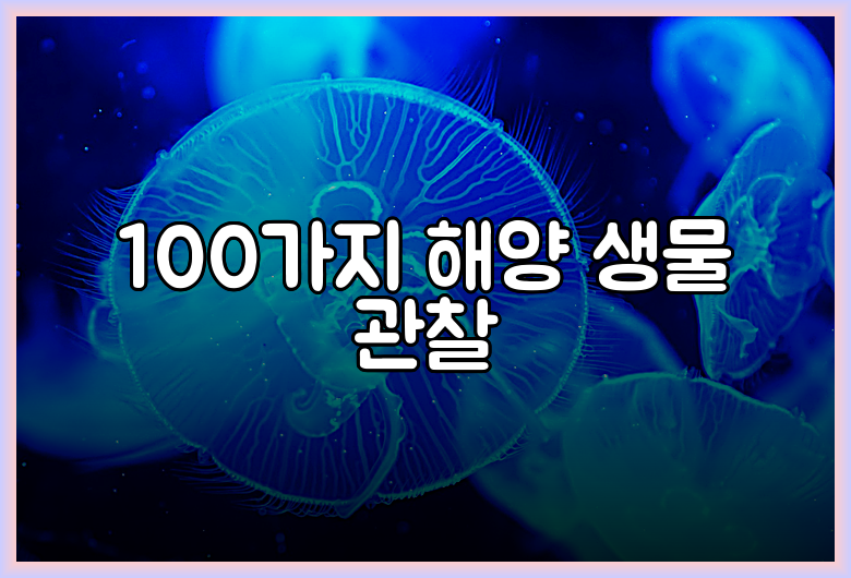 100가지 해양 생물 관찰