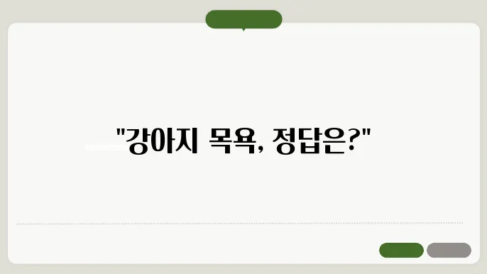강아지 목욕 시기 선택 및 방법, 피부 건강을 위한 필수 가이드