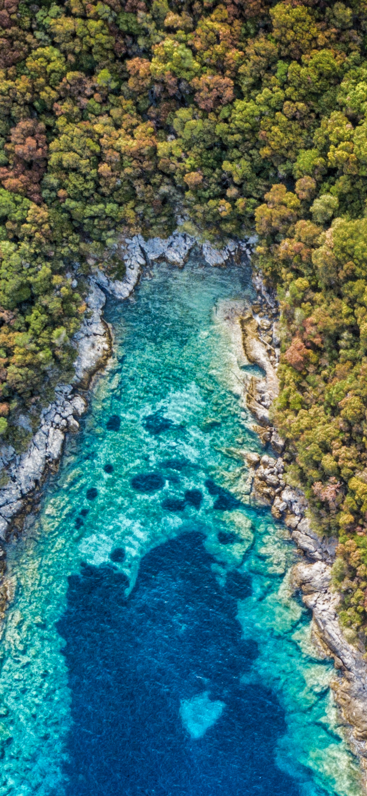 크로아티아 세일링 단풍