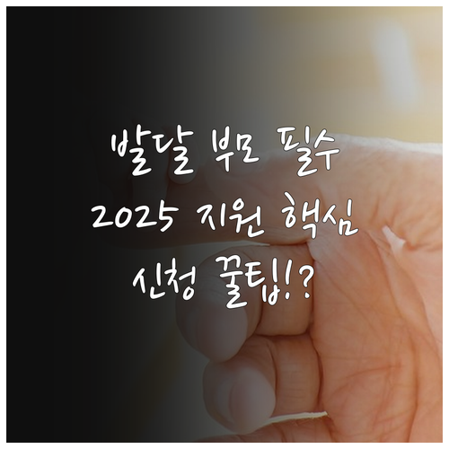발달장애인 부모상담지원사업 2025 ..
