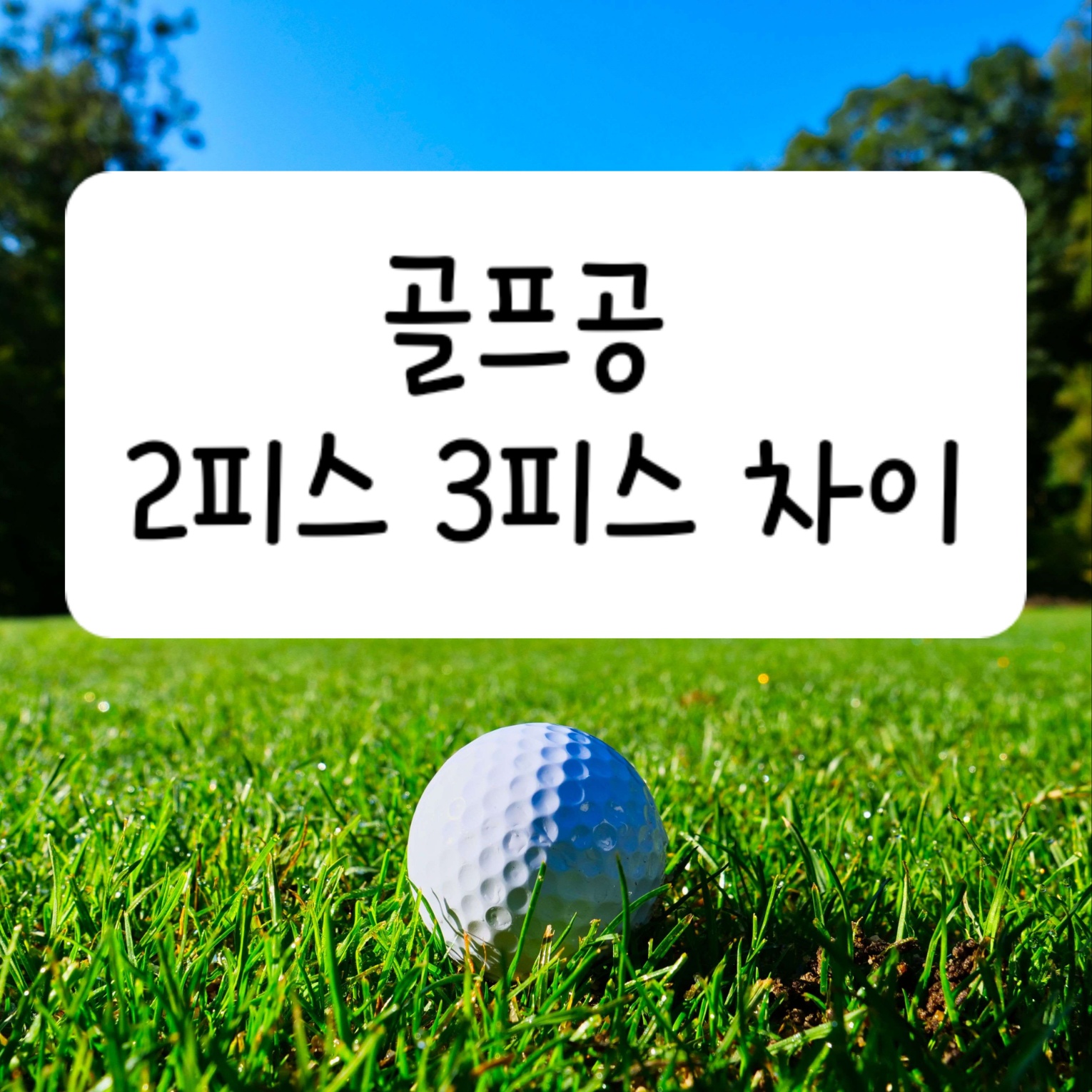 골프공 2피스 3피스 차이
