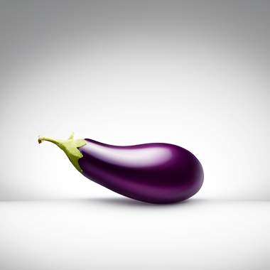 야채 가지의 그림 입니다.