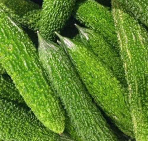 당뇨에좋은음식-여주