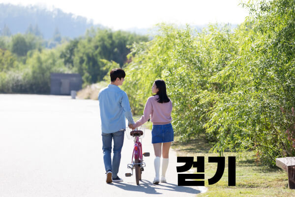 수영과 걷기
