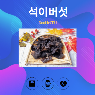 석이버섯 알아보기