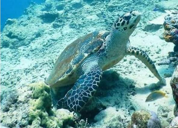 발리여행 지역별 특징 알아보기