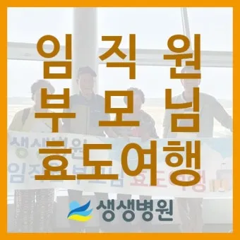 부모님 효도여행 해외여행지 추천 5선_10