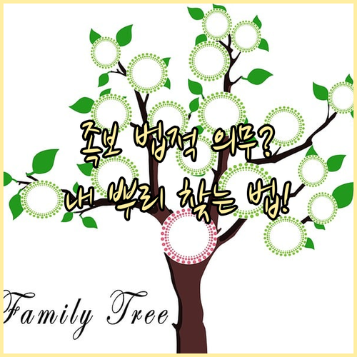 족보 열람 궁금증 해소 법적 의무 여..