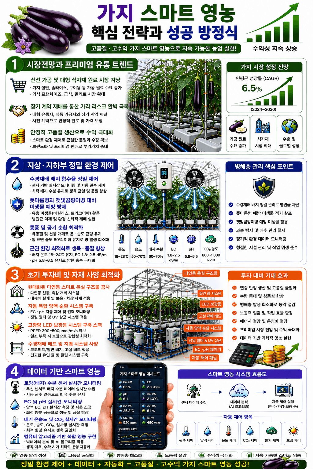 가지 성공 재배 전략 인포그래픽