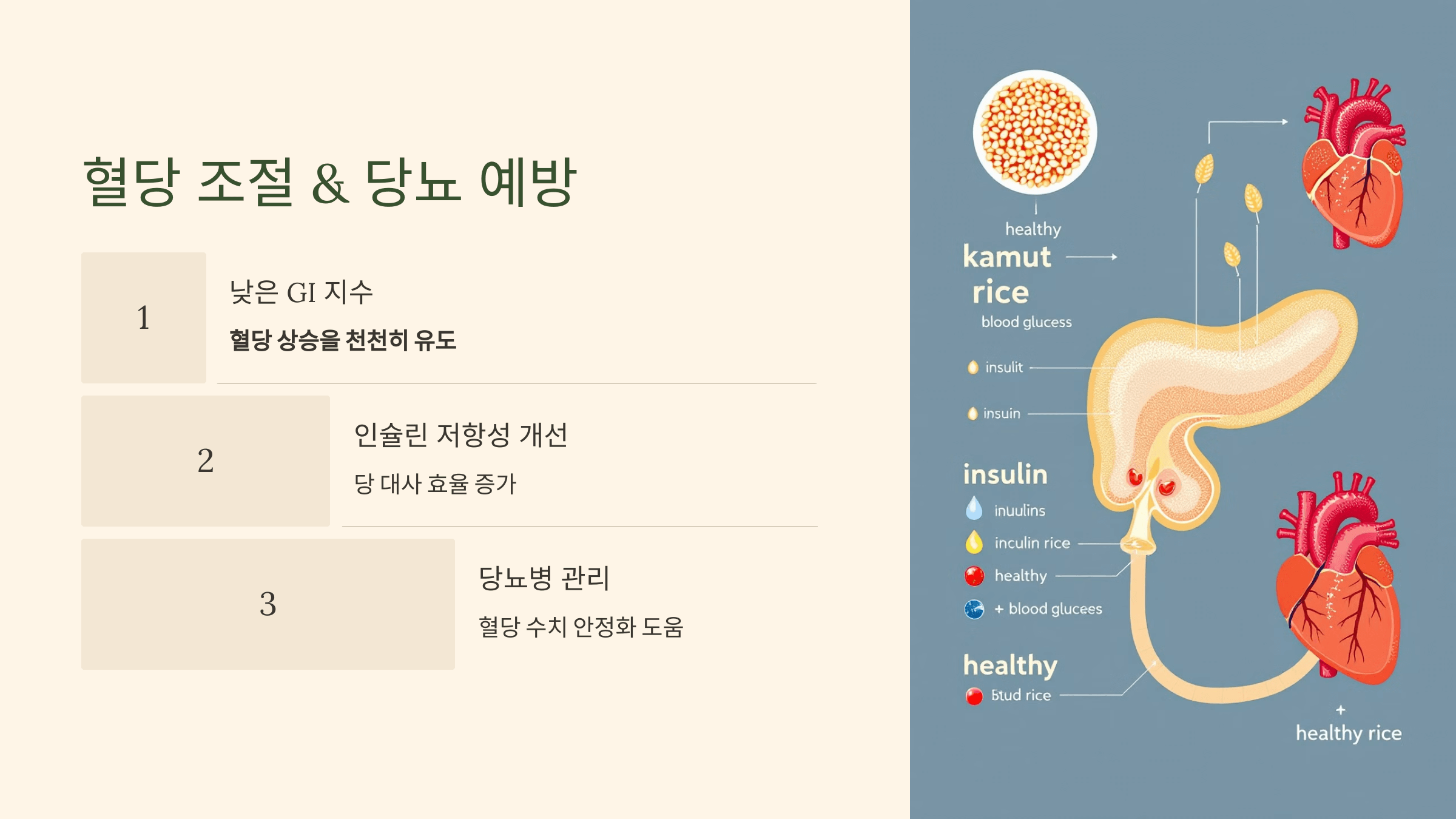 카무트 쌀 사진입니다.