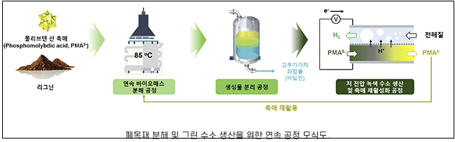 버려지는 나무가 수소로 다시 태어났다" 카이스트