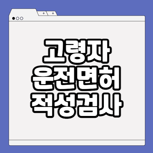 고령자 운전면허 적성검사