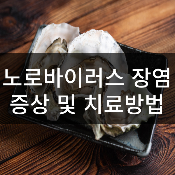 생굴 노로바이러스