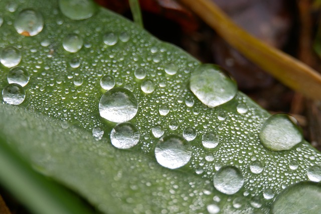 결로현상 원인과 결로현상 해결 방법