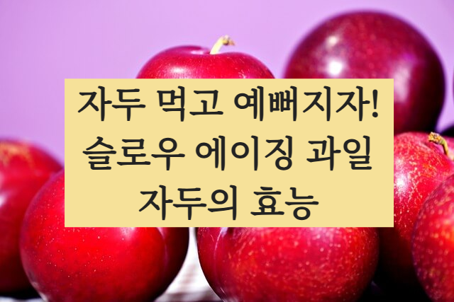 자두의효능