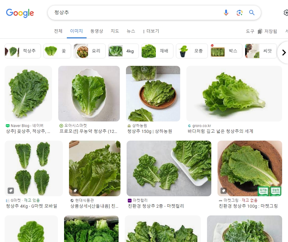 쓴맛 없이 부드러워 아이들도 좋아하는 청상추