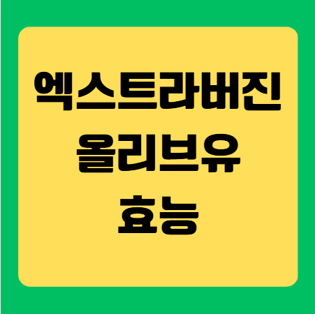 엑스트라버진 올리브유 효능과 섭취 방법