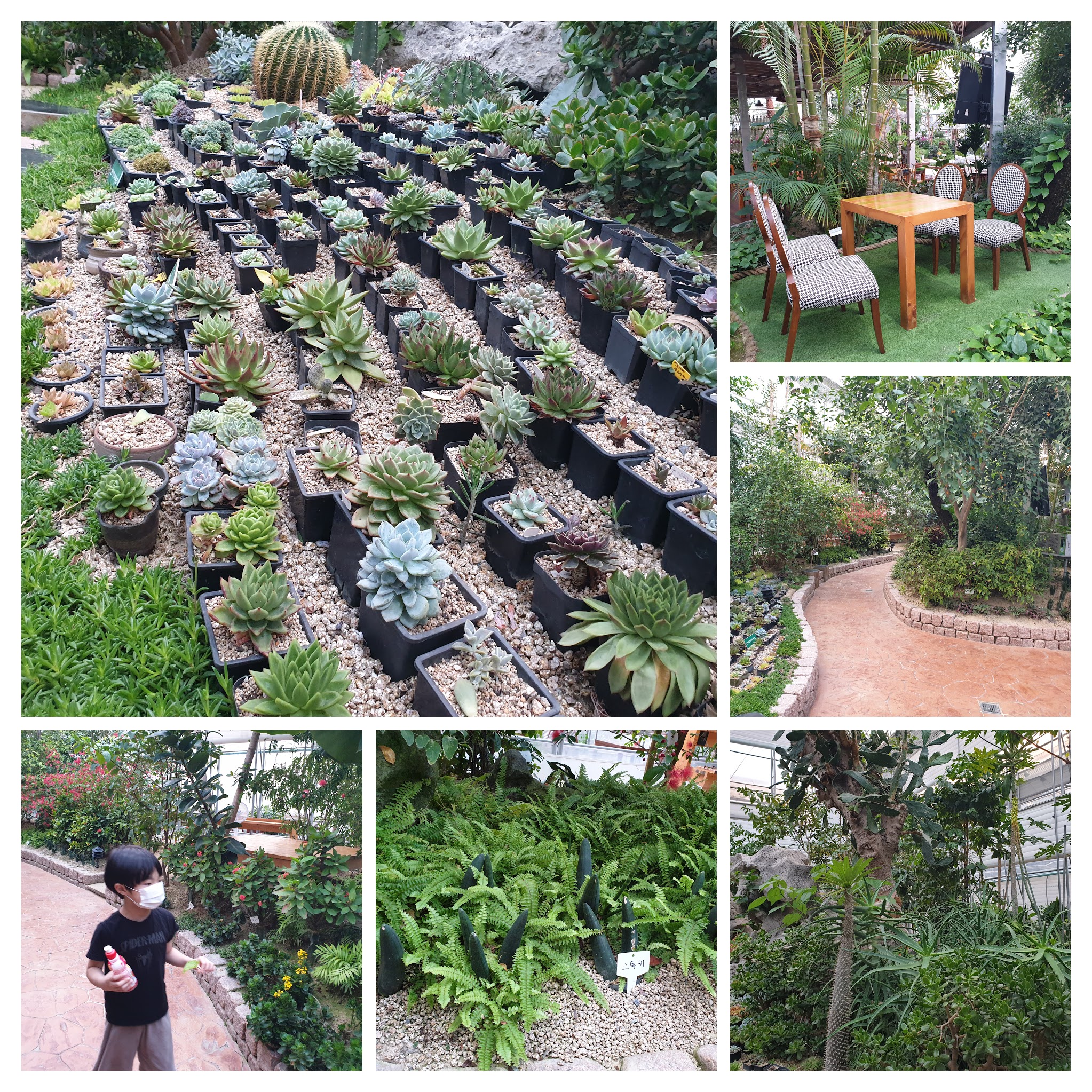 바오밥식물원베이커리카페 후기