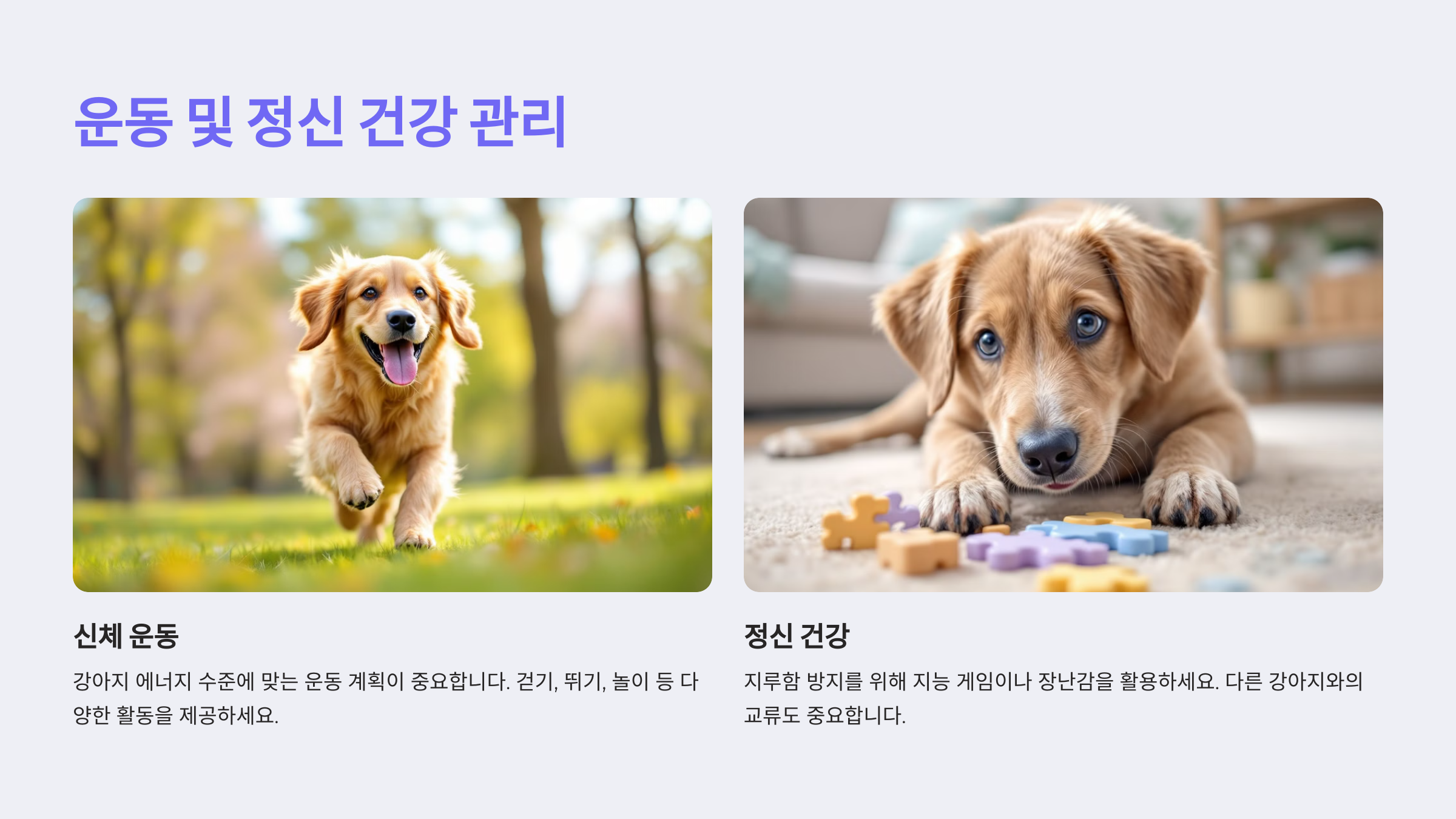 운동 및 정신 건강 관리