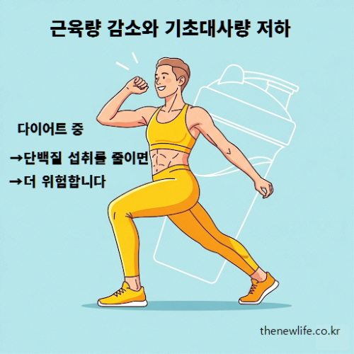 다이어트 중 단백질 부족 시 근육량 감소와 기초대사량 저하로 인한 건강 위험