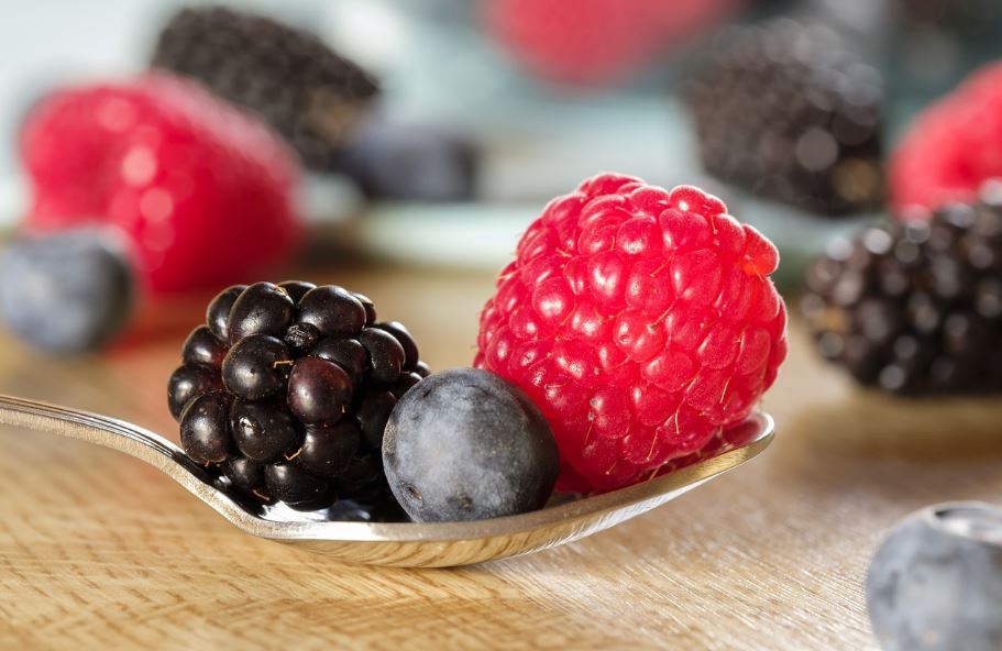 영양가 많은 베리류