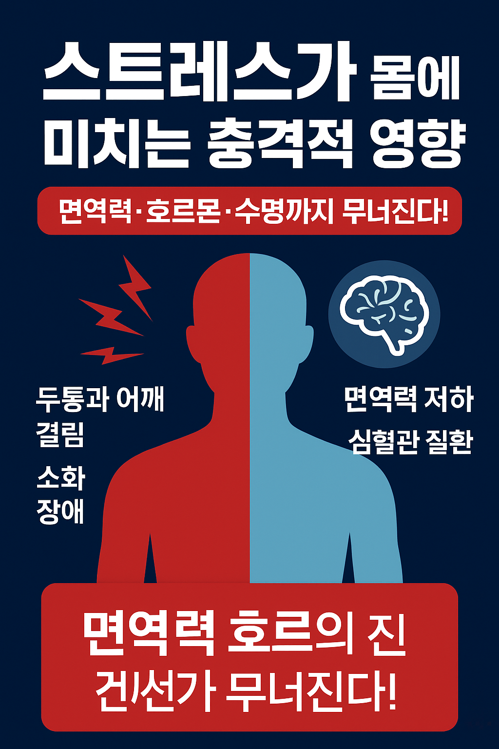 "스트레스가 몸에 미치는 충격적인 영향 / 무너지는 면역력과 건강 회복법"