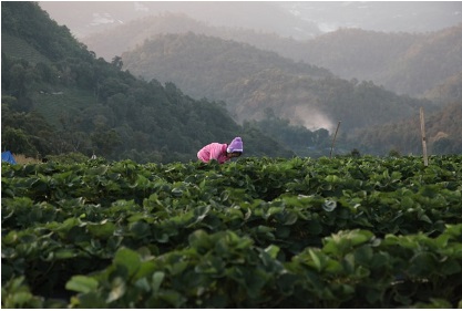 농지연금 가입조건 가입절차 및 제출서류
