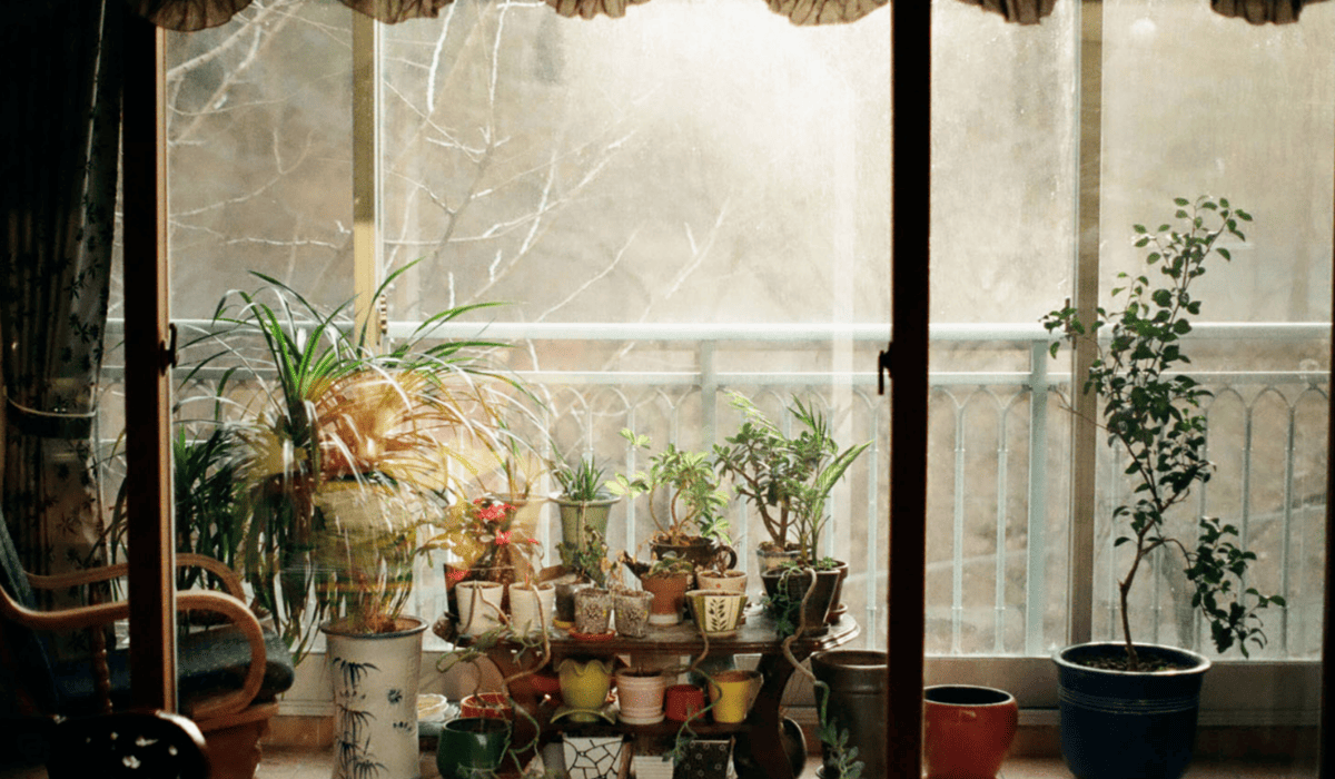 베란다_곰팡이_제거법_5