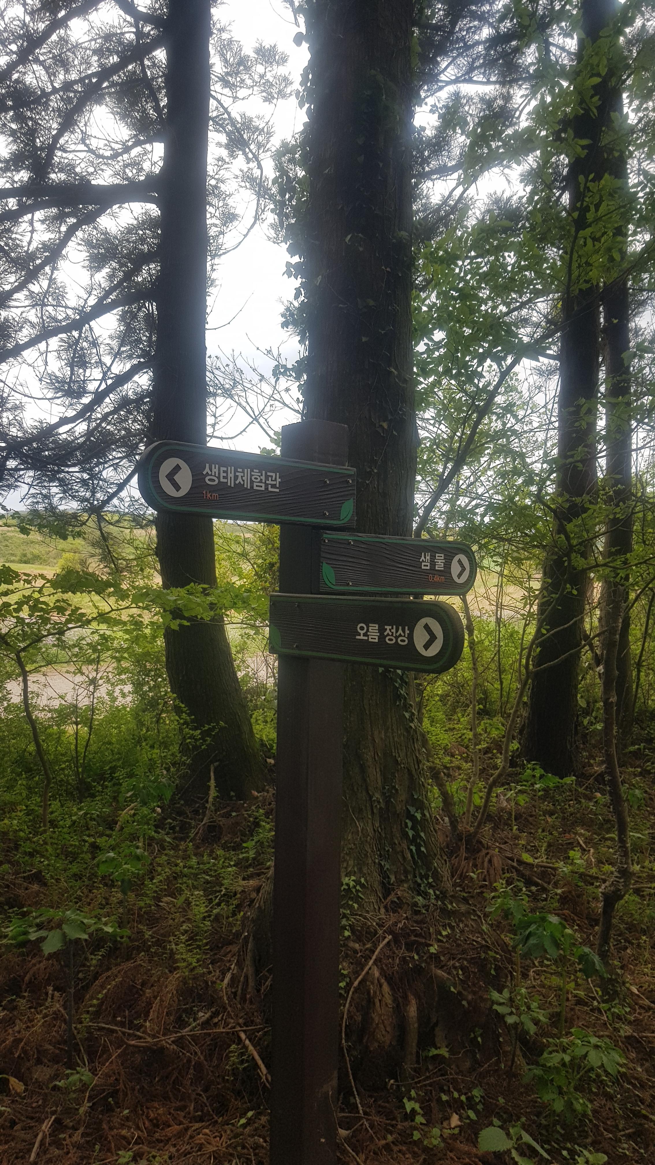 제주도 거슨새미오름 – 숨겨진 자연의 보물!