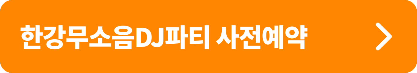 한강무소음DJ파티 예약