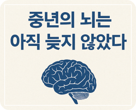 중년의 뇌는 아직 늦지 않았다