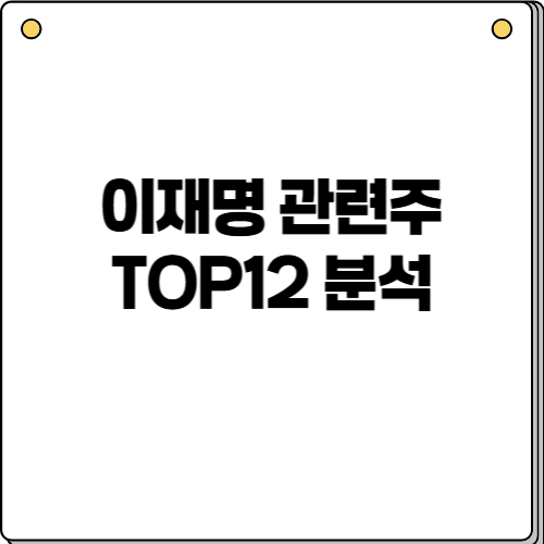 이재명-관련주-TOP12-분석