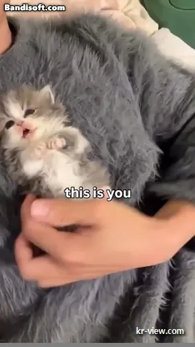 img.webp?credential=yqXZFxpELC7KVnFOS48ylbz2pIh7yKj8&expires=1767193199&allow_ip=&allow_referer=&signature=D6NciuWv6L8FX%2Fxsw8qQMsU8ToQ%3D