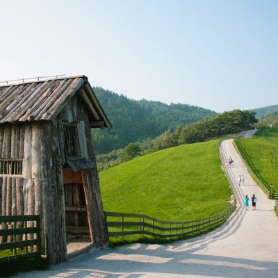 대관령 양떼목장