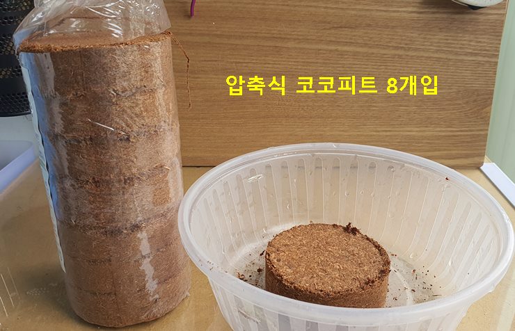 다이소 압축식 코코피트 8개입