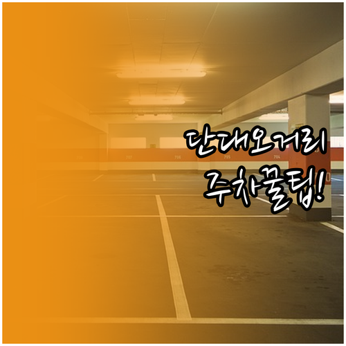 단대오거리역 주차장 정리 세이브존 및..