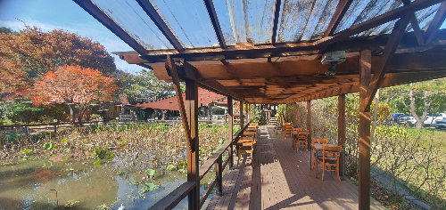 오롯이, 꽃 카페 외부좌석