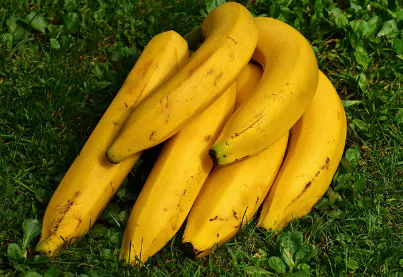 고혈압에-좋은-음식-건강