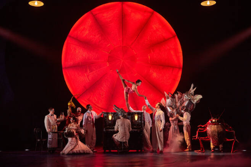 태양의 서커스 루치아 공연 시간 예매 티켓 후기