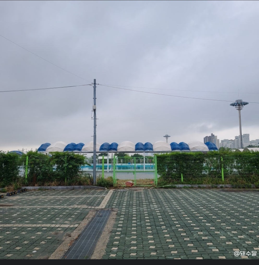 잠원 수영장 한강 수영장 개장정보 요금 할인혜택 주차장 준비물