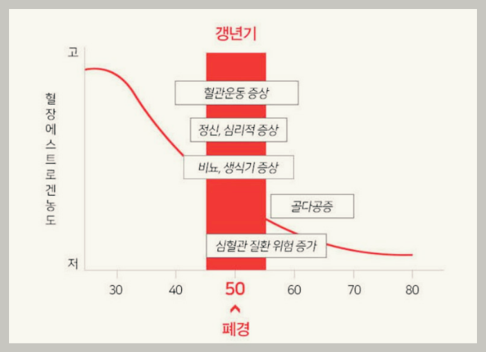 갱년기-에스트로겐농도-그래프