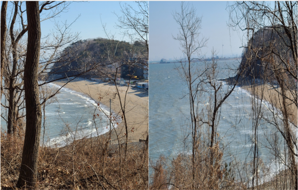 대부해솔길 구봉도에서 내려다 본 바다